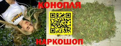 apvp Пугачёв