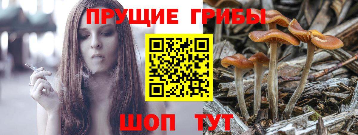 Сорочинск  Псилоцибиновые грибы Cubensis  Галлюциногенные грибы Magic Shrooms  Вход с VPN 